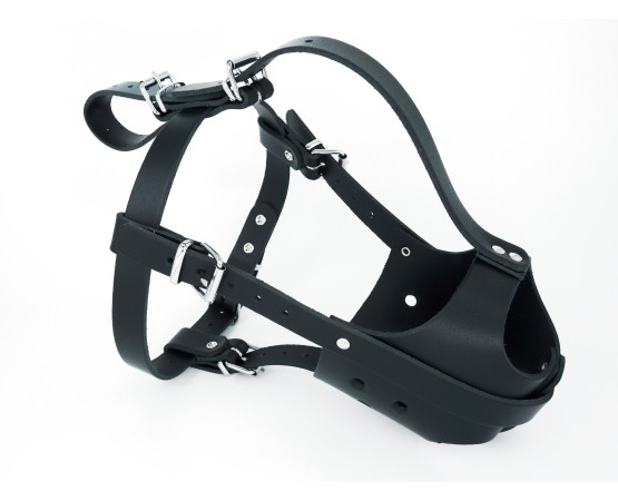 Botnita din piele naturala pentru femela Amstaff & Pitt Bull