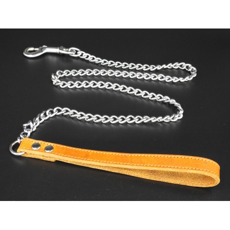 Lesa metalica pentru caini Sara Dog