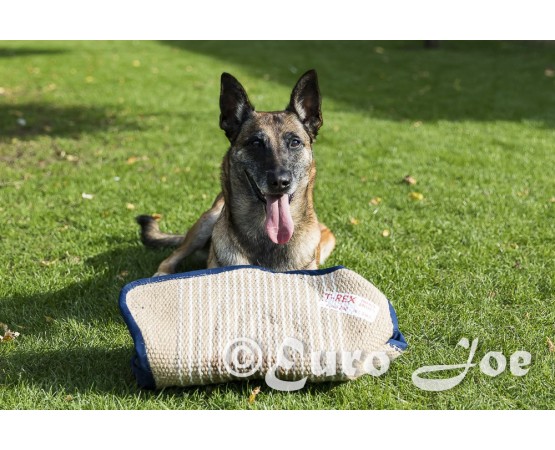 Maneca scurta de muscatura dresaj T-Rex