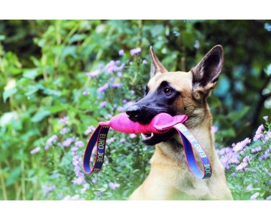 Tug roz hard pentru dresaj canin din material francez Euro Joe