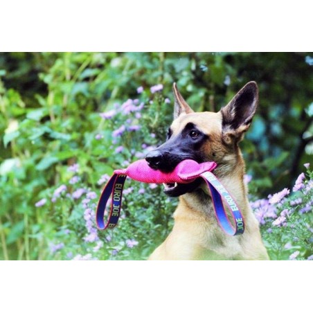 Tug roz hard pentru dresaj canin din material francez Euro Joe