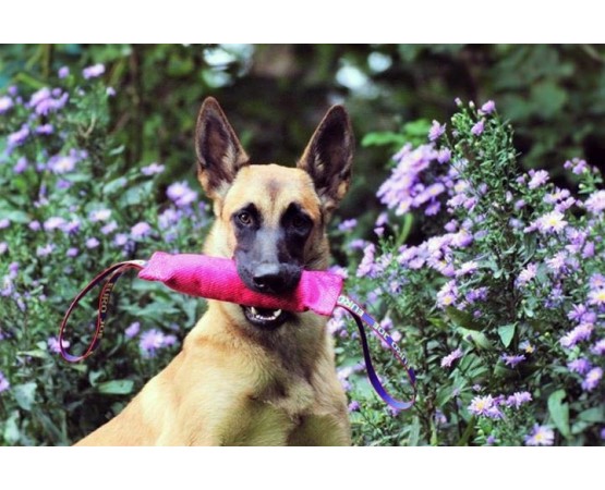 Tug roz hard pentru dresaj canin din material francez Euro Joe