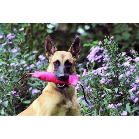Tug roz hard pentru dresaj canin din material francez Euro Joe