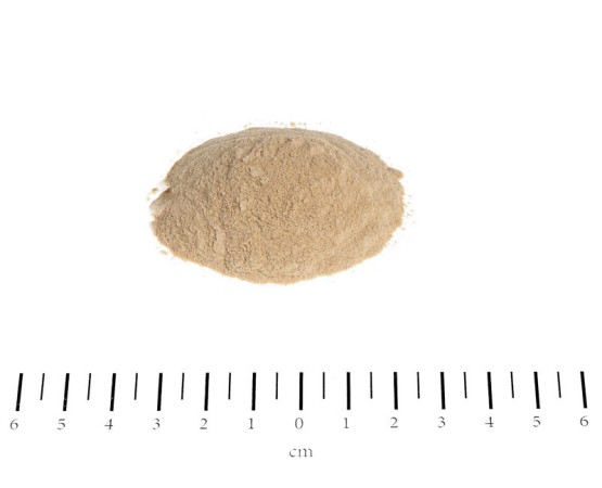 Biotina pulbere Canina 200 gr