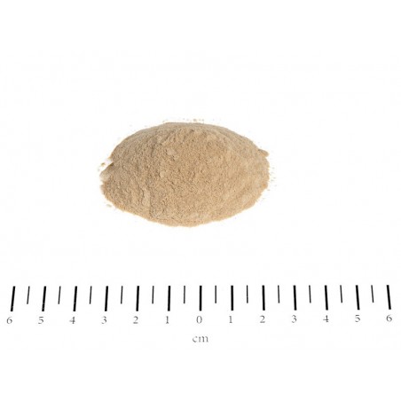Biotina pulbere Canina 200 gr