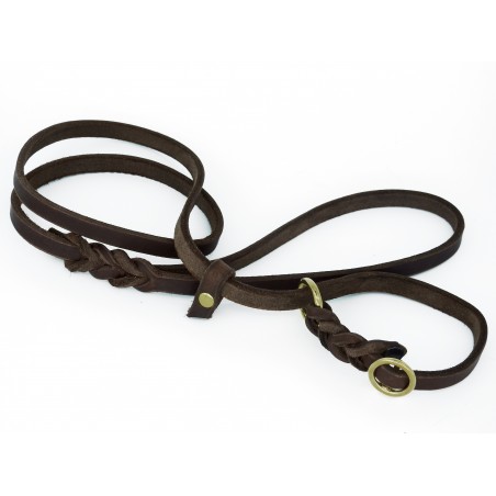 Lesa pentru prezentare caini expozitii canine