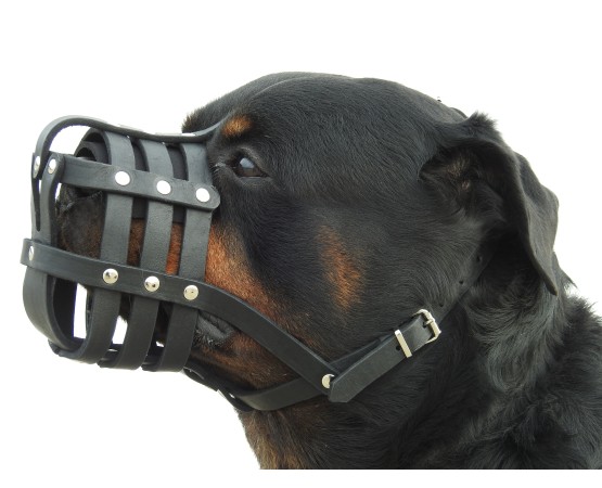 Botnita din piele naturala nr.4