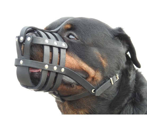 Botnita din piele naturala nr.4