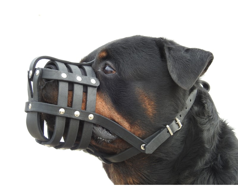 Botnita din piele naturala nr.4