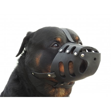 Botnita din piele pentru Rottweiler mascul