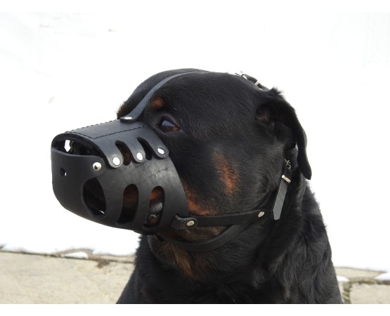 Botnita din piele pentru Rottweiler mascul