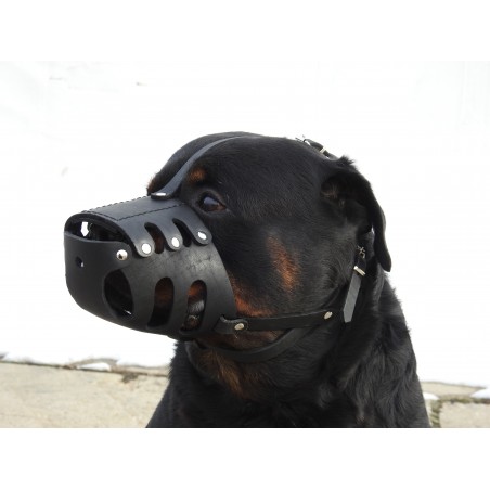 Botnita din piele pentru Rottweiler mascul
