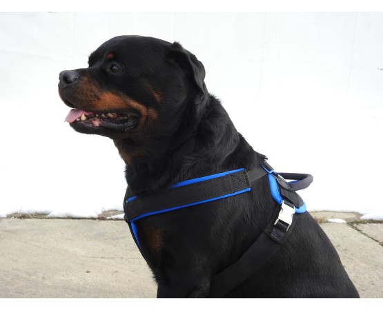 Ham de lucru pentru caini