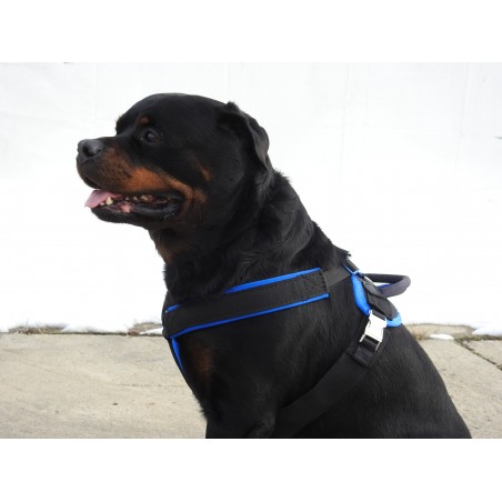 Ham de lucru pentru caini