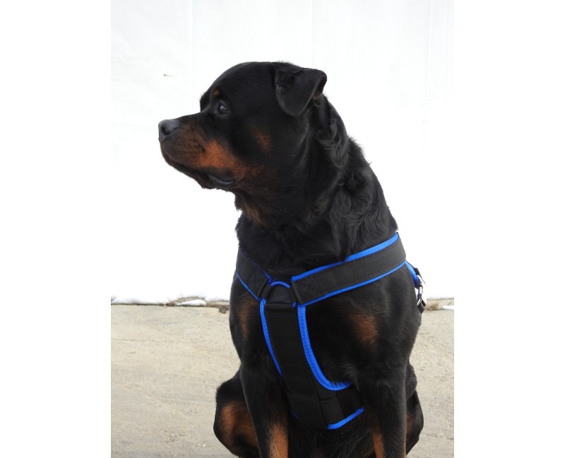 Ham de lucru pentru caini