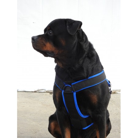 Ham de lucru pentru caini