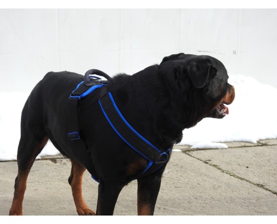 Ham de lucru pentru caini