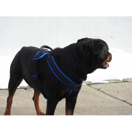 Ham de lucru pentru caini