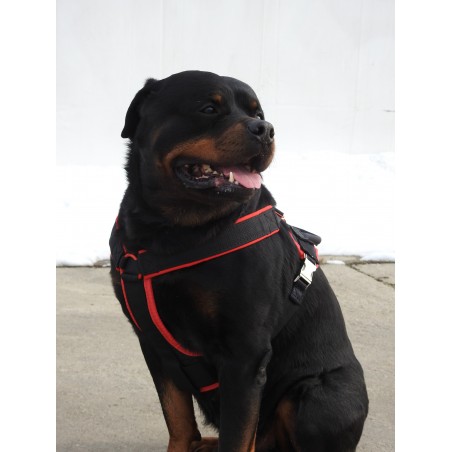 Ham de lucru pentru caini