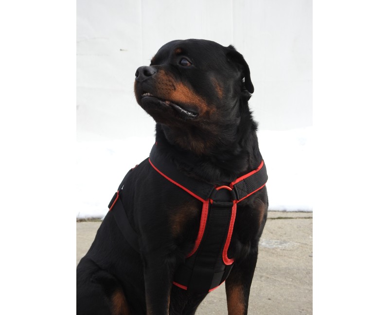 Ham de lucru pentru caini