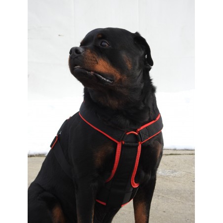 Ham de lucru pentru caini