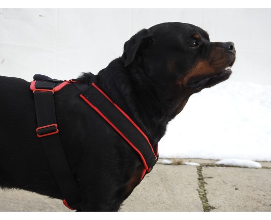 Ham de lucru pentru caini