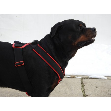 Ham de lucru pentru caini