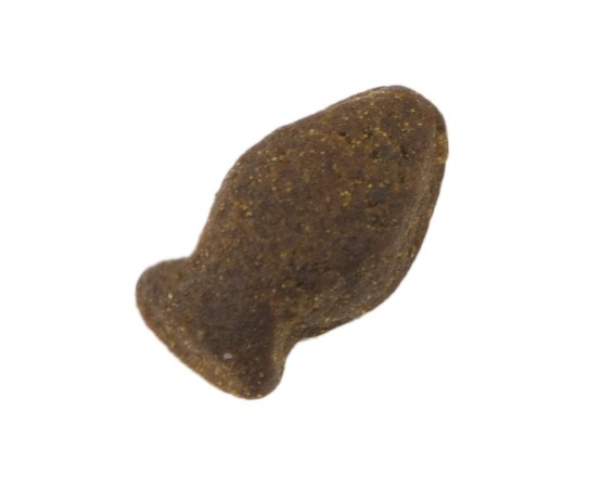 Recompense din peste pentru caini