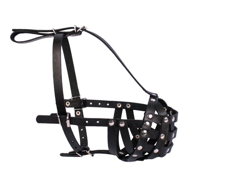 Botnita din piele pentru Boxer talie mica