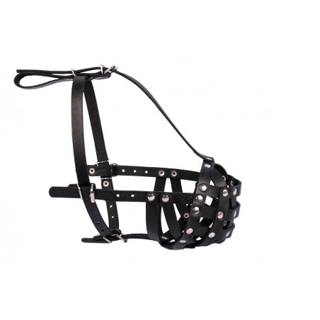 Botnita din piele pentru Boxer talie mica