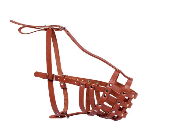 Botnita din piele naturala pentru Rottweiler mascul