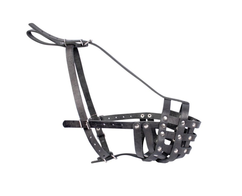 Botnita din piele naturala pentru Rottweiler mascul