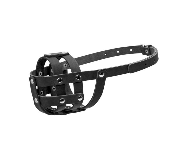 Botnita din piele pentru Cocker Spaniel