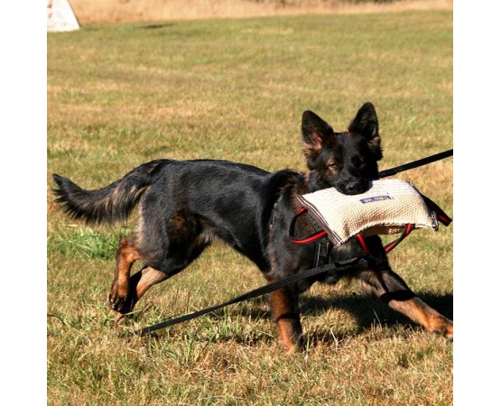 Perna profesionala de muscatura pentru dresaj canin , din iuta Hard Euro Joe