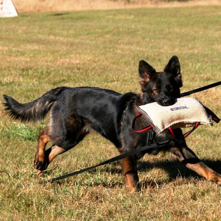 Perna profesionala de muscatura pentru dresaj canin , din iuta Hard Euro Joe