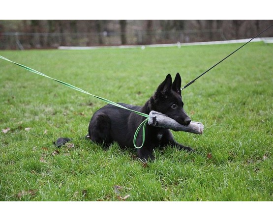 Tug din plush pentru caini puppy