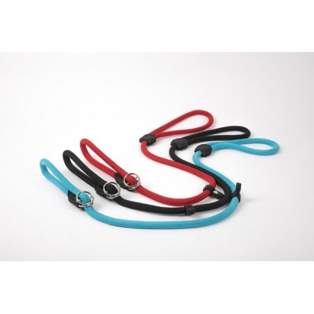 Lesa strangulanta pentru dresaj canin