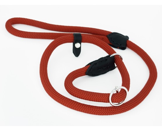 Lesa strangulanta pentru dresaj canin