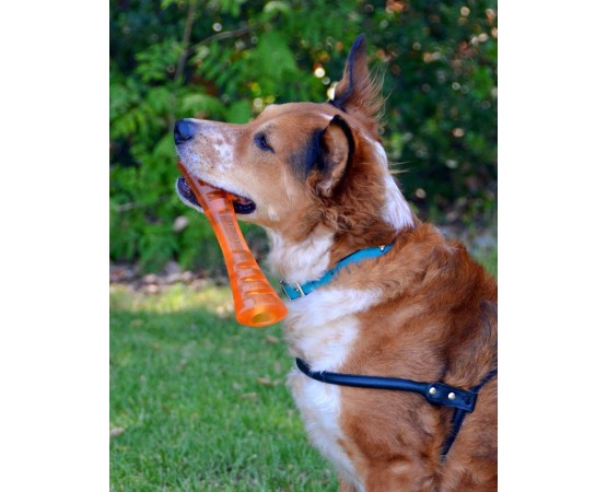 Jucarie interactiva pentru caini Bionic Urban Stick ( XL )