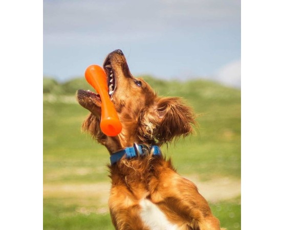 Jucarie interactiva pentru caini Bionic Urban Stick ( XL )