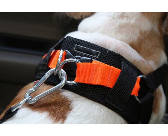 Ham cu centura de siguranta  3D pentru transport auto caini