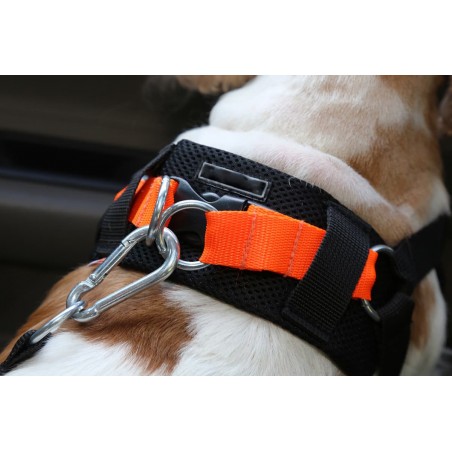 Ham cu centura de siguranta  3D pentru transport auto caini