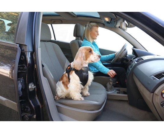 Ham cu centura de siguranta  3D pentru transport auto caini