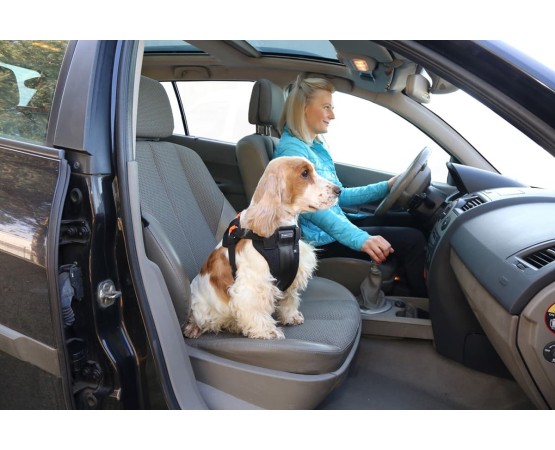 Ham cu centura de siguranta  3D pentru transport auto caini