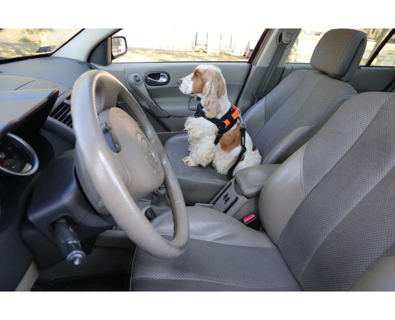 Ham cu centura de siguranta  3D pentru transport auto caini