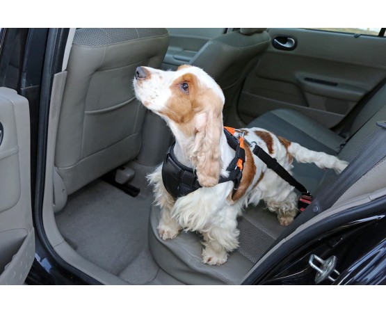 Ham cu centura de siguranta  3D pentru transport auto caini