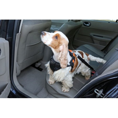 Ham cu centura de siguranta  3D pentru transport auto caini