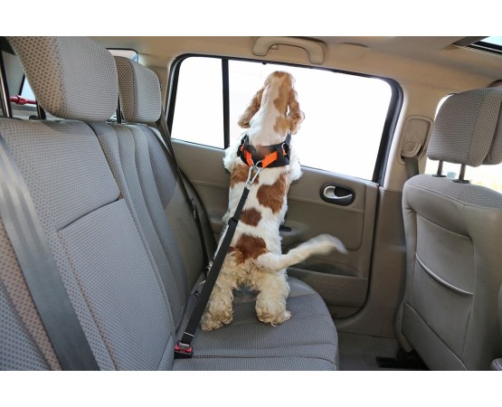Ham cu centura de siguranta  3D pentru transport auto caini