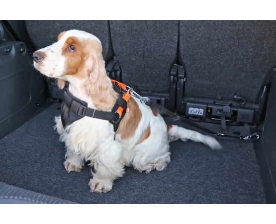 Ham cu centura de siguranta  3D pentru transport auto caini
