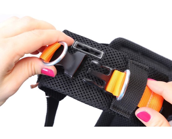 Ham cu centura siguranta 3D transport auto caini